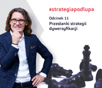 Przesłanki strategii dywersyfikacji